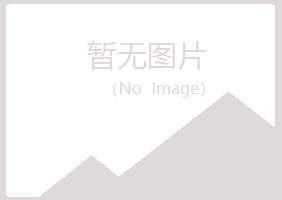 邙山区冰蓝工程有限公司